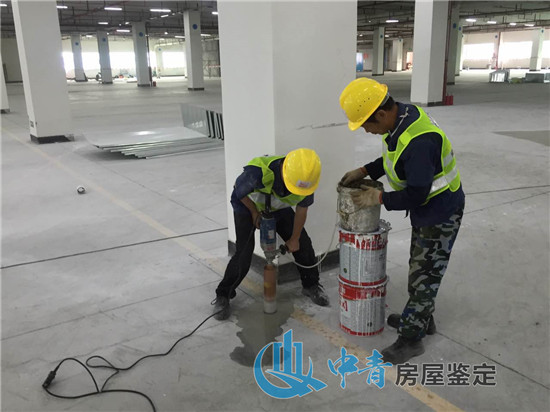 廠房承重檢測的檢測內(nèi)容主要針對建筑物哪里？